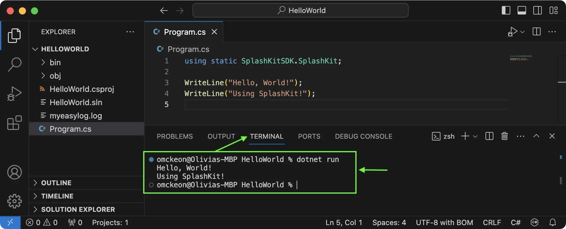 A VS Code window showing the program being run in the terminal.