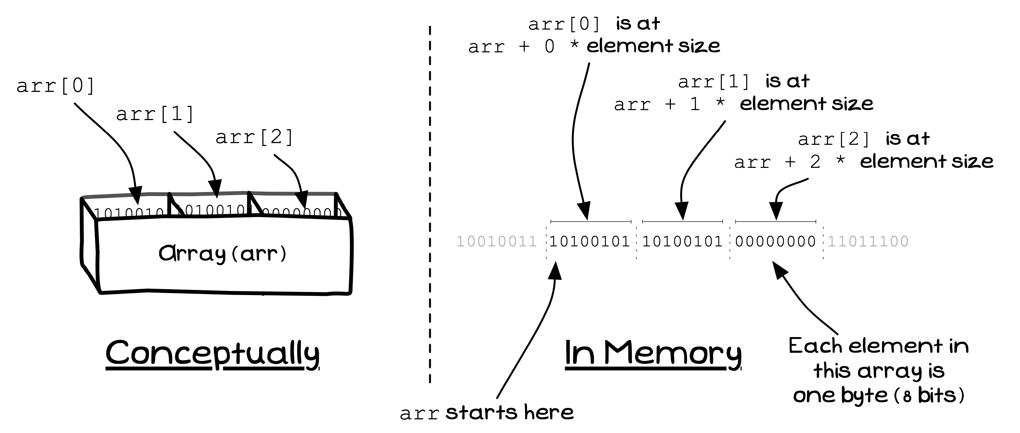 Arrays occupy a contiguous area of memory, with elements next to each other in memory