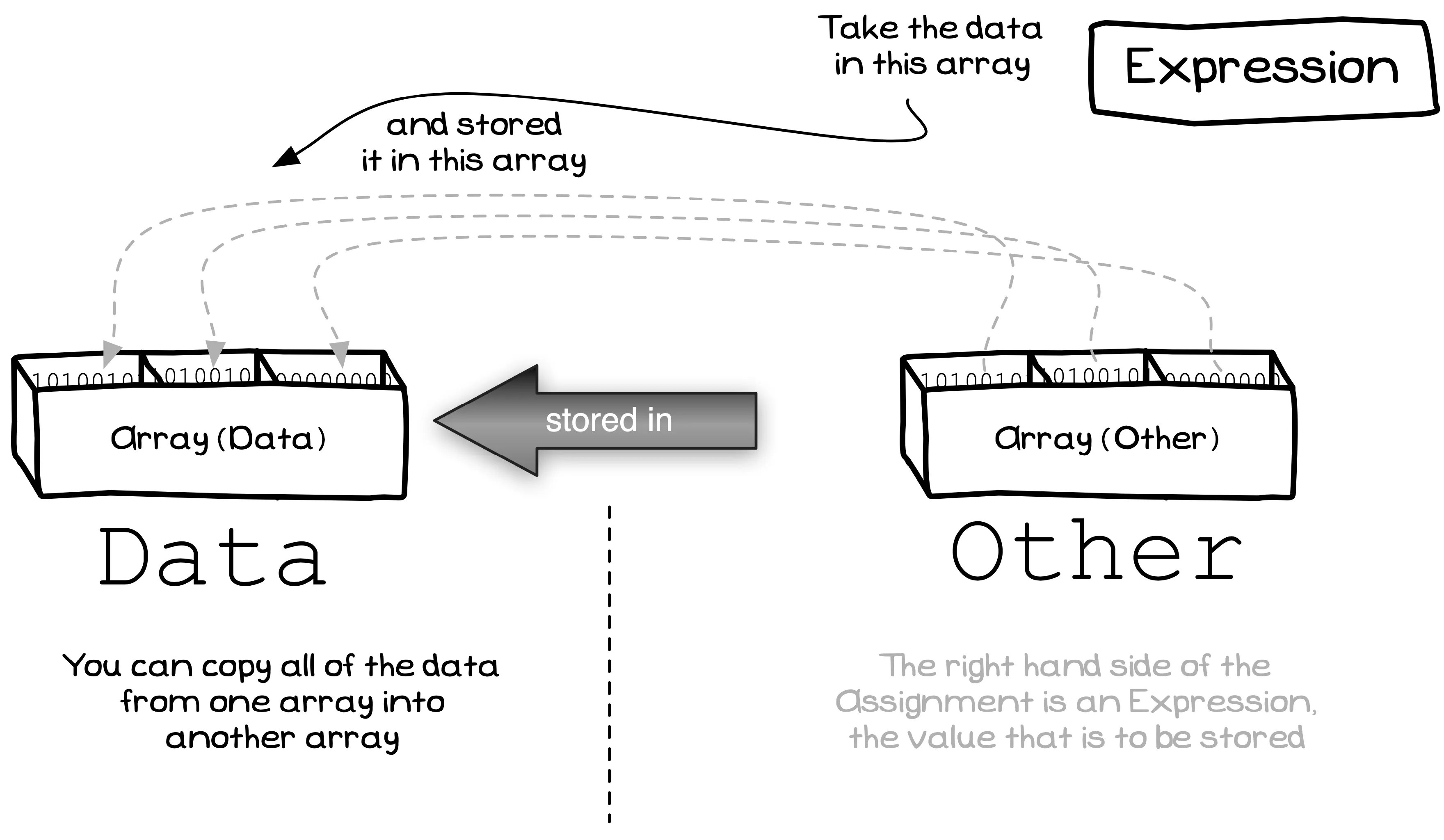 Elements of an array can be copied across in the assignment statement