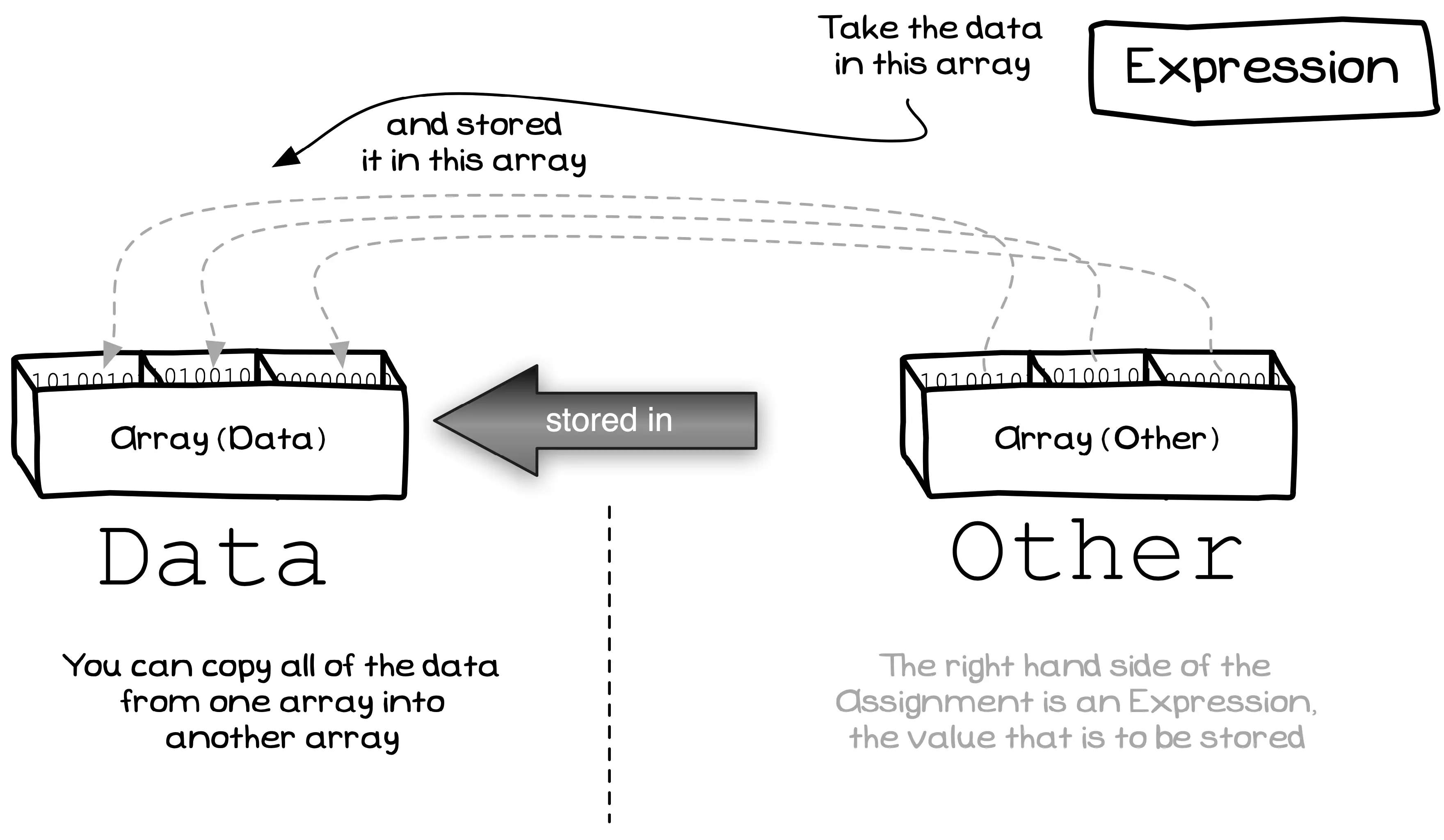 Elements of an array can be copied across in the assignment statement