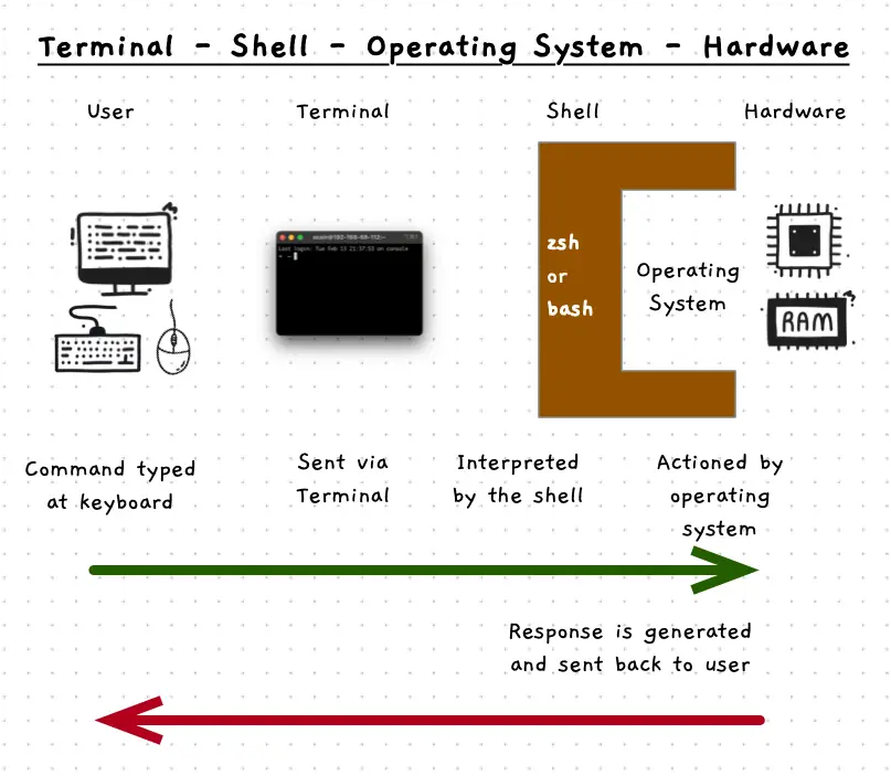 Shows the command from the terminal to the shell