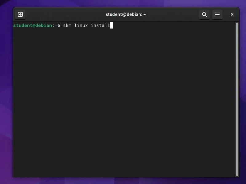 GIF showing skm installation in Terminal