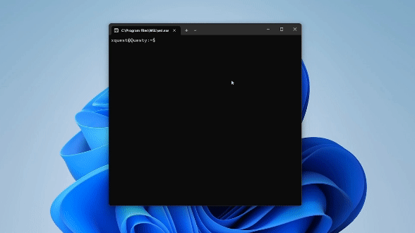 Gif showing skm installing globally in WSL Terminal